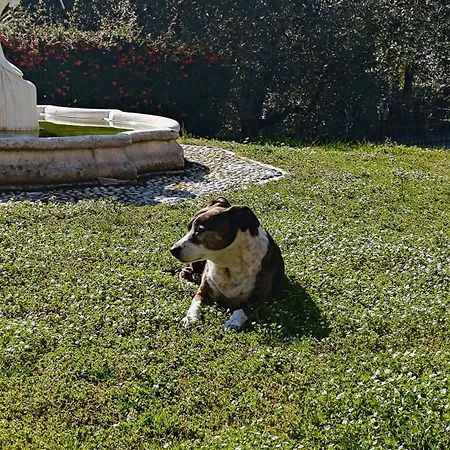 Casa Silvia Padenghe sul Garda
